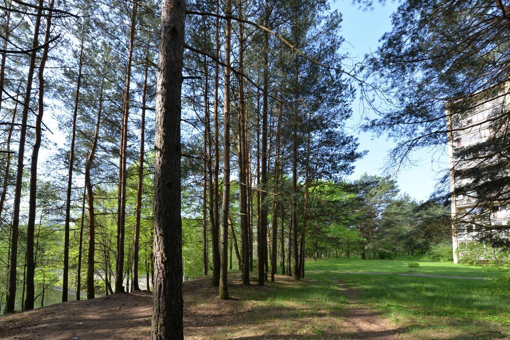 Apartamentai Prie Alkos Druskininkai Exterior foto